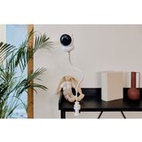 Lionelo Care Babyline 8.3 digitalna video varuška 1 kos | Shoptok.si