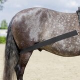 USG Elastični kaiš za pojas 150-300cm | Eponuda.com