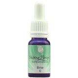 Helping Flowers® Nr. 6 Breza - 10 ml | shoptok.hr