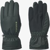 Icepeak hayden jr | ePonuda.com