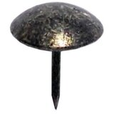  Rajsnadla ukrasna | Eponuda.com