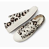 Converse Ženske patike chuck 70 leopard | Eponuda.com