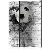  Paravan u 3 dijela - Dynamic Football [Room Dividers] 135x172 | shoptok.hr
