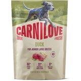 Carnilove Dog True Fresh Junior Large, briketi - raca 1,5 kg | Shoptok.si