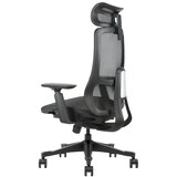 UGD Ergonomska kancelarijska stolica Task Master Mesh Cene