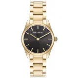 Analogne ure PL20008B1D1 pisana