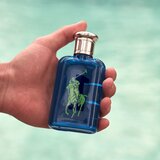 Polo Ralph Lauren The Big Pony 1 Blue toaletna voda za moške 40 ml | Shoptok.si