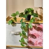 Sinsay Ukrasna umjetna biljka | shoptok.hr