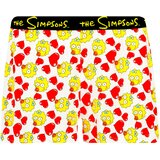 Character Women's boxer The Simpsons Love - Frogies Cene