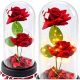 Eternal 2 Roses in Dome with LED Lighting and Rose Petals Red 21x11cm | Shoptok.si