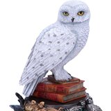 Nemesis Now HARRY POTTER HEDWIG KIPEC 22CM | Shoptok.si