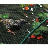 Mreža za zaščito pred pticami Birdnet (2 x 10 m, zelena)