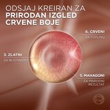 L´Oréal Paris Excellence Universal Nudes boja za kosu 5UR | shoptok.hr