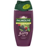 Palmolive gel za tušitanje Berry Picking 250ml Cene