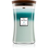 WoodWick Icy Woodland mirisna svijeća s drvenim fitiljem 609,5 g Cijene