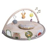  Taf Toys gimnastika 22114096 Cene