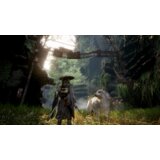 Fictions Beast Of Reincarnation (Xbox Series X) | Shoptok.si