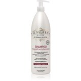 ALFAPARF MILANO Il Salone Milano Magnificent šampon za barvane lase 1000 ml Cene