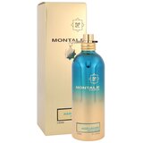 Montale Aoud Lagoon parfumska voda 100 ml unisex | Shoptok.si