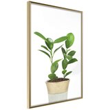  Poster - Piece of Nature II 30x45 Cijene