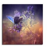 WALLXPERT Multikolor slika na platnu 4545K-36 | Eponuda.com