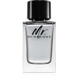 Burberry Mr. toaletna voda za muškarce 150 ml Cijene