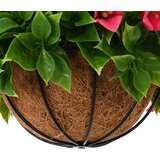  Umjetni cvjetovi Ružičasta 33 x 33 x 44 cm PE i čelik | Eponuda.com