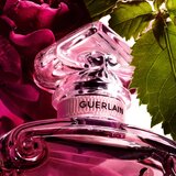 Guerlain La Petite Robe Noire Absolue parfemska voda za žene 30 ml | shoptok.hr