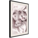  Poster - Tangled in Sweater 40x60 | shoptok.hr