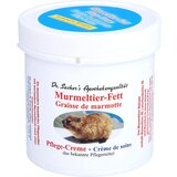 Kühn Kosmetik SVIZČEVA krema z ekstraktom gorskega bora in mentola Dr. Sacher's 250ml Cene