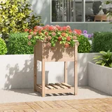 vidaXL Sadilica s policom 54x54x81 cm od masivne borovine