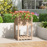vidaXL Visoka greda s polico 54x54x81 cm trdna borovina | Shoptok.si