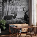  Foto tapeta - Deers in the Morning 490x350 Samoljepljiva | shoptok.hr