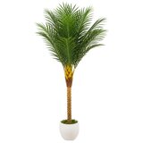 Master Cvijeće ukrasno umjetno Palma 180cm 930-27 Cijene
