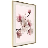  Poster - Blooming Magnolias I 30x45 | shoptok.hr