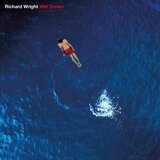 Richard Wright Wet Dream (Blue Marbled Coloured) (Limited Edition) (Reissue) (Remastered) (LP) | Shoptok.si