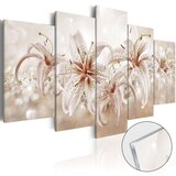  Slika na akrilnom staklu - The Music of Gentleness [Glass] 100x50 | shoptok.hr