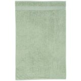 Catherine Lansfield Zeleni pamučan ručnik od frotira 50x85 cm Anti-Bacterial – Cijene