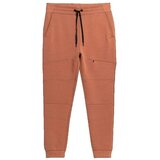 4f Spodnji deli trenirke Pantalon M152 Kostanjeva Cene