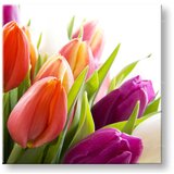  Slike na platnu cveće (moderne slike na platnu) | ePonuda.com