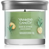 Yankee Candle Sage & Citrus dišeča sveča 122 g | Shoptok.si