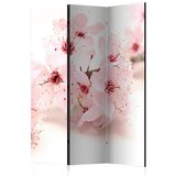 Artgeist Paravan - Cherry Blossom 135x172 | shoptok.hr