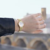 Festina F20745-1 | Shoptok.si
