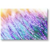  Slike na platnu cveće | ePonuda.com