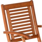 Gardenson Set Vrtnih Stolov Cordoba, Masivno | Shoptok.si