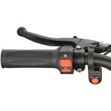 Beneo Otroški električni štirikolesnik E-Quad Anaconda VX 1000W 36V12Ah litij Rdeča | Shoptok.si