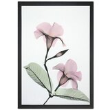 Tablo Center Slika Zelena veja, 24 x 29 cm Cene