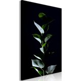  Slika - In the Moonlight (1 Part) Vertical 60x90 Cijene