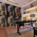  Tapeta - Girl with a pearl earring (Pop art) 250x193 Cijene