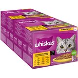 MEGA pakiranje Whiskas 1+ Adult vrečke 48 x 85 g - Perutninski izbor v omaki | shoptok.hr